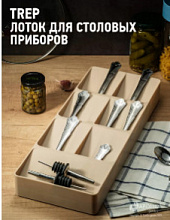 Лоток для столовых приборов APOLLO "Trep" 2 отсека 