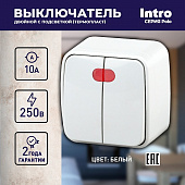 Выключатель двойной с подсветкой 3-105-01 Intro, 10А-250В, IP20, ОУ, Polo, белый 